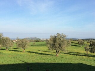 Casa per le vacanze Montemor-o-Novo Ambiente 23