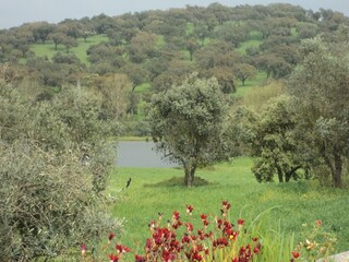 Holiday house Montemor-o-Novo Outdoor Recording 9