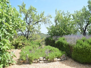 Landhaus Vilamoura Außenaufnahme 14