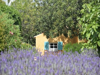 Landhaus Vilamoura Außenaufnahme 9