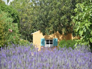 Vakantiehuisje Vilamoura Buitenaudio-opname 15