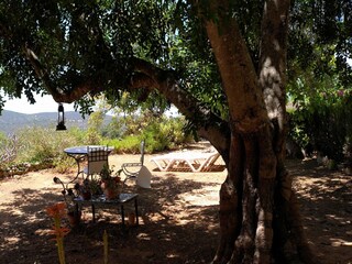 Vakantiehuisje Vilamoura Buitenaudio-opname 17