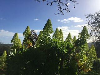Vakantiehuisje Vilamoura Buitenaudio-opname 14
