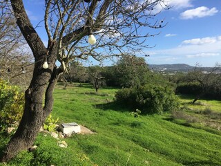 Vakantiehuisje Vilamoura Buitenaudio-opname 18