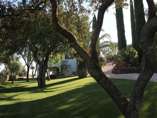 Villa São Bartolomeu de Messines Außenaufnahme 13