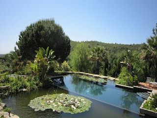 Villa Alcalar Buitenaudio-opname 16