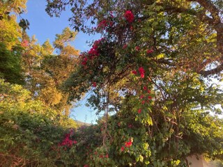 Villa Alcalar Ambiente 35