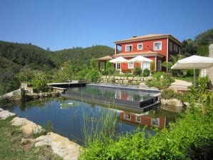 Lussuosa villa a Monchique con piscina privata - Alcalar - image1