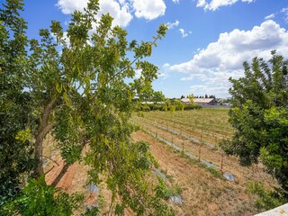 Apartment Tavira Environment 26