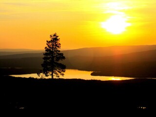 Holiday house Bograngen Environment 11
