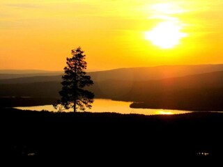 Holiday house Bograngen Environment 25