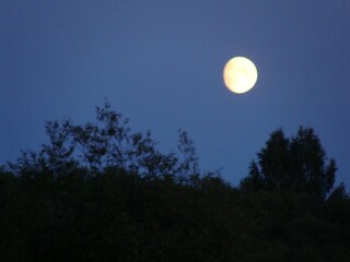 Casa per le vacanze Bograngen Ambiente 30