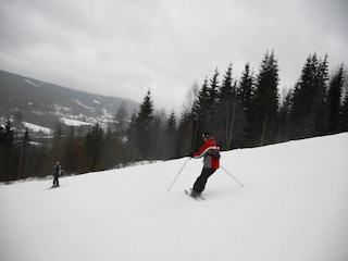 Chalet Torsby Umgebung 36