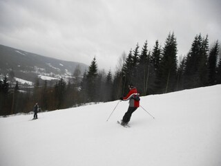 Chalet Torsby Ambiente 23