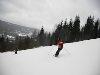 Chalet Torsby Environment 23