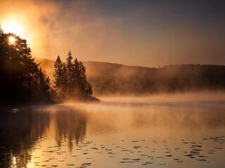 Chalet Torsby Ambiente 22