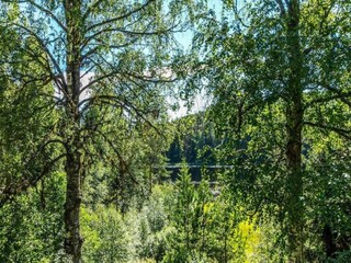 Chalet Torsby Umgebung 28