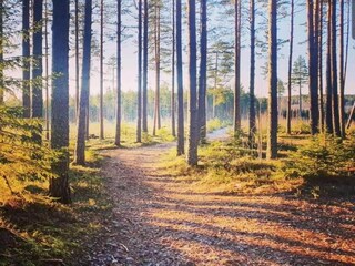 Chalet Torsby Environnement 27