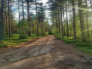 Chalet Torsby Umgebung 31