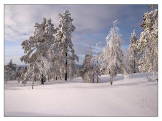 Chalet Torsby Environnement 23