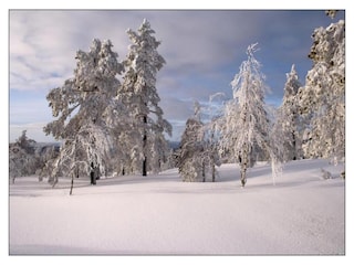 Chalet Torsby Umgebung 25