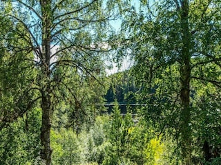 Chalet Torsby Entorno 36