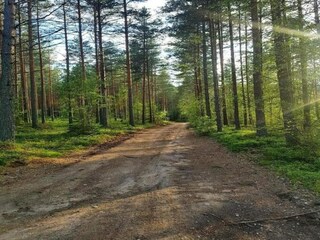 Chalet Torsby Environnement 34