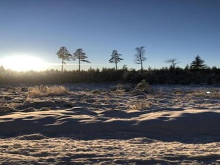 Chalet Torsby Environnement 35