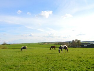 Casa vacanze Dinant Ambiente 34