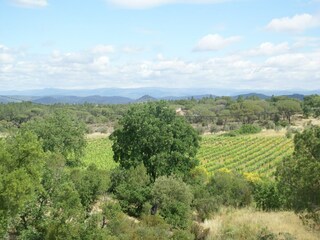 Villa Vidauban Environnement 36