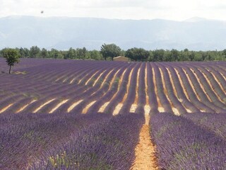 Vakantiehuis Saint-Raphael Omgeving 35