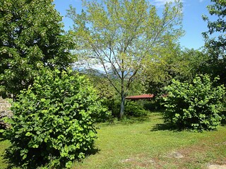 Maison de vacances Gubbio Enregistrement extérieur 25