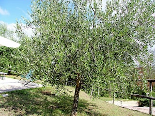 Ferienhaus Gubbio Außenaufnahme 15