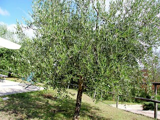 Vakantiehuis Gubbio Buitenaudio-opname 15