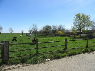 Villa Oostduinkerke Outdoor Recording 2