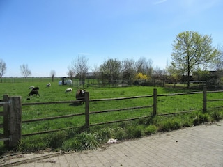 Villa Oostduinkerke Registrazione all'aperto 1