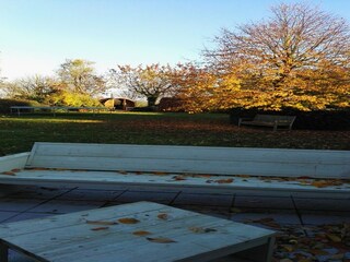 Villa Oostduinkerke Registrazione all'aperto 11