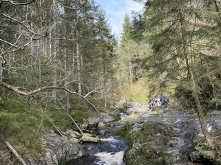 Casa de vacaciones Mützenich Entorno 27