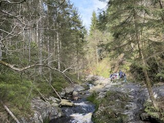 Casa per le vacanze Mützenich Ambiente 23