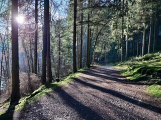 Casa per le vacanze Mützenich Ambiente 27