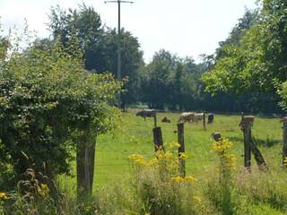 Vakantiehuis Robertville Omgeving 26