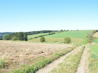 Ferienhaus Wolwelange Umgebung 27