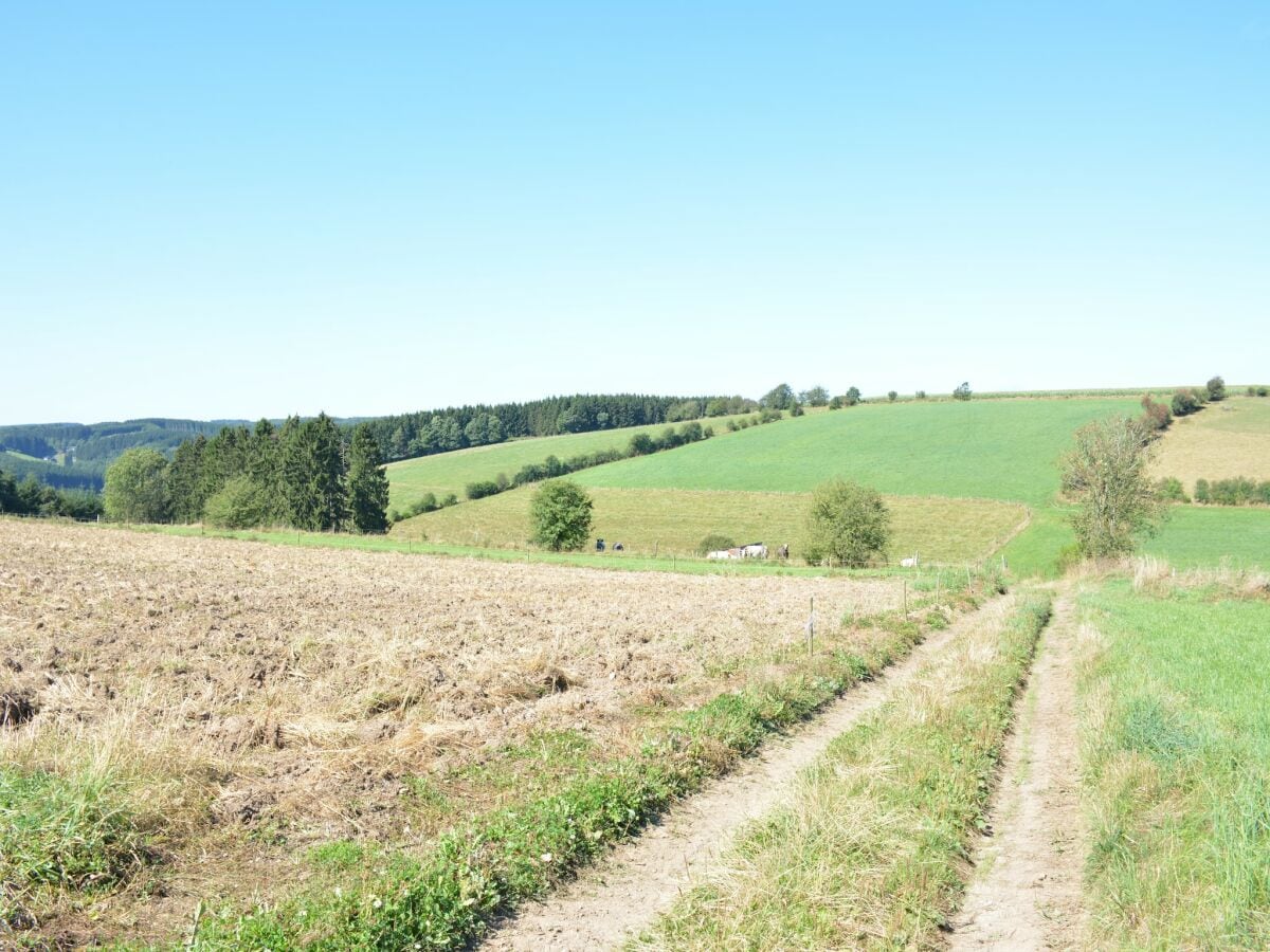 Ferienhaus Wolwelange Umgebung 32