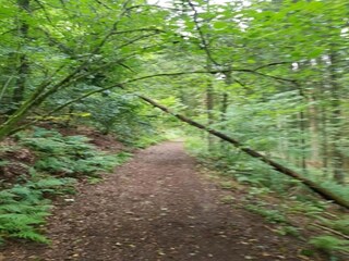 Maison de vacances Wolwelange Environnement 26