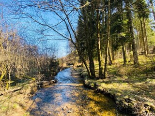 Casa per le vacanze Wolwelange Ambiente 31