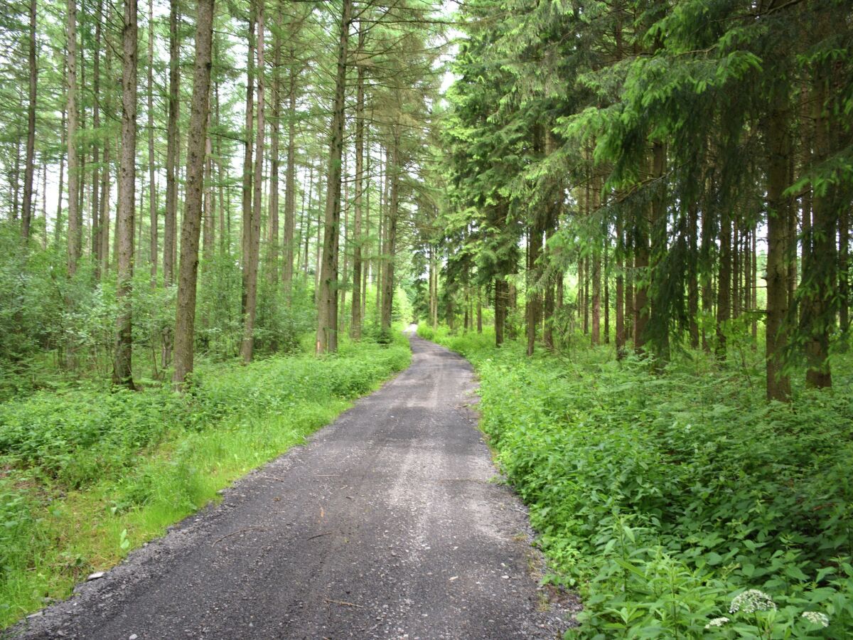 Bauernhof Houffalize Umgebung 20