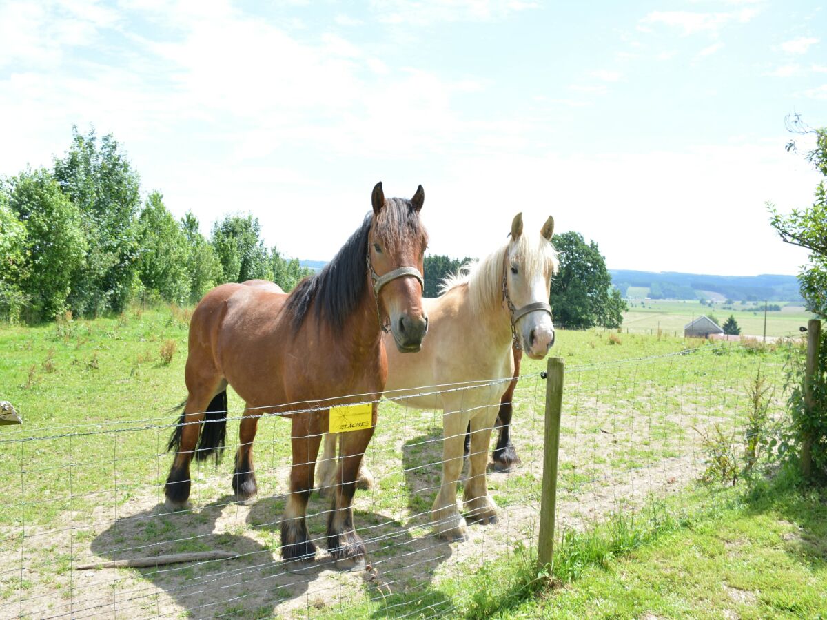 Bauernhof Houffalize  26