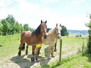 Boerderij Houffalize  38