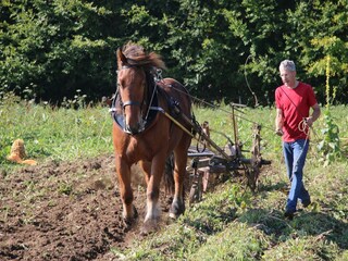 Boerderij Houffalize  36