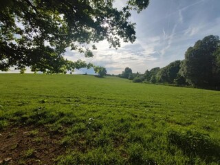 Type de propriété : Ferme Houffalize Environnement 32
